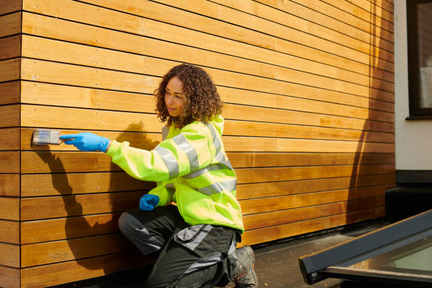 Best Vinyl Siding Installation  in Carl Junction, MO